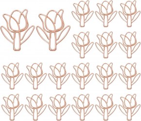 Nessuna immagine impostata 